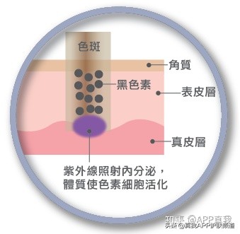韩国男明星神仙颜值李栋旭,说不出的爱秀智李栋旭完整版