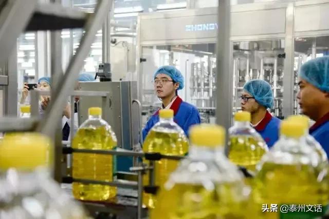 汇福粮油食品加工产业基地项目,汇福粮油集团董事长泰州