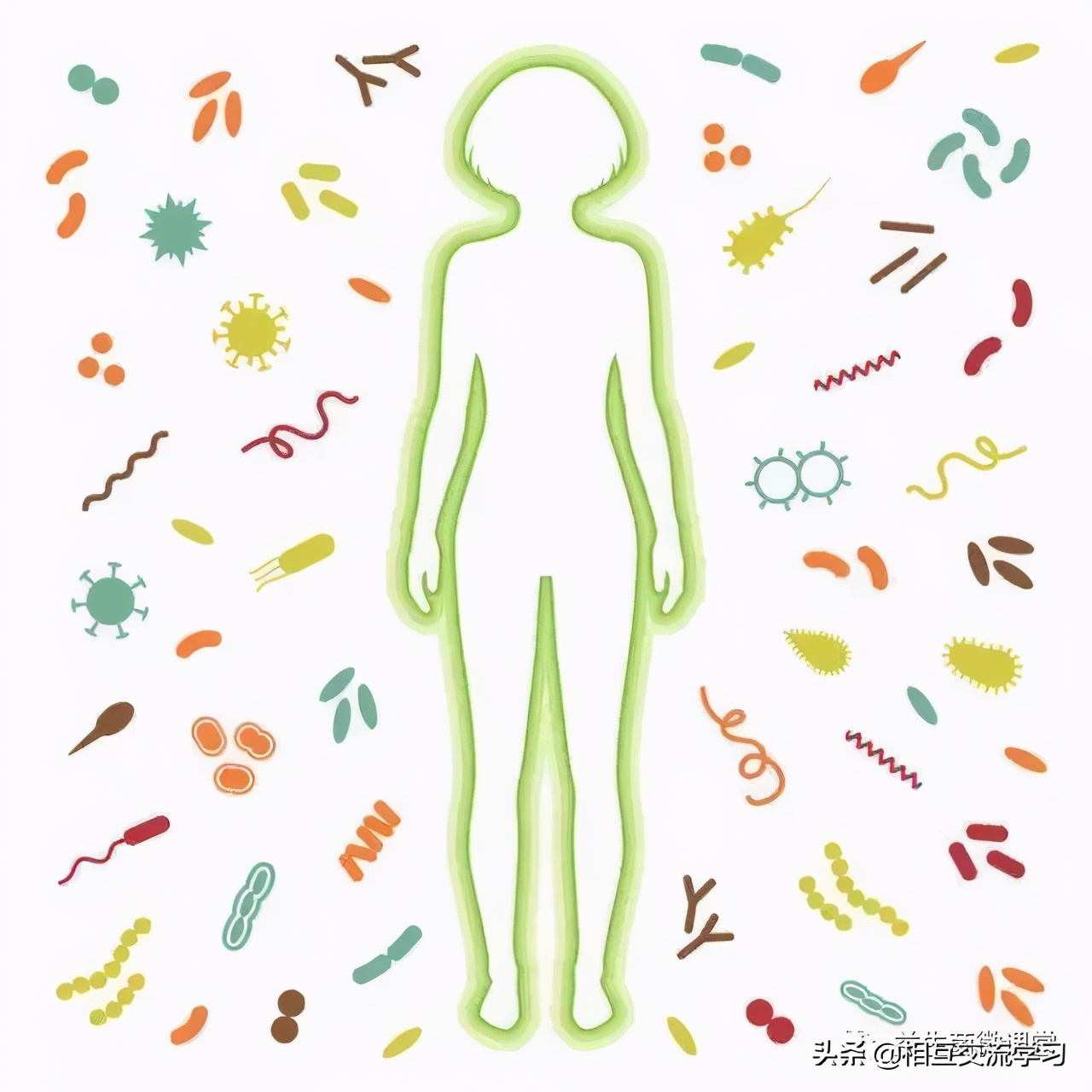 2023年益生菌展会时间表,上海2021酵素产业博览会