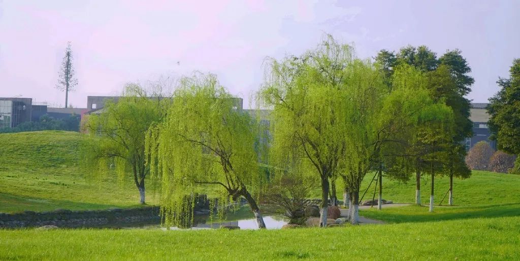 东软，青城山下最大的养老院型综合网吧