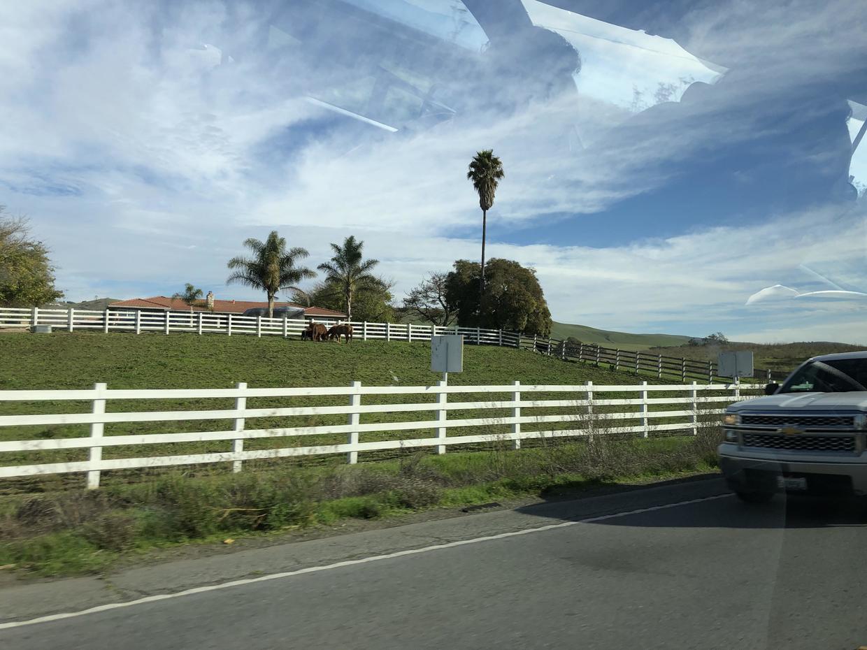 美国之行：沙漠里的不夜城拉斯维加斯