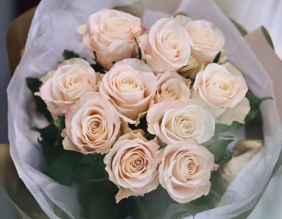 热销玫瑰,顶级进口玫瑰