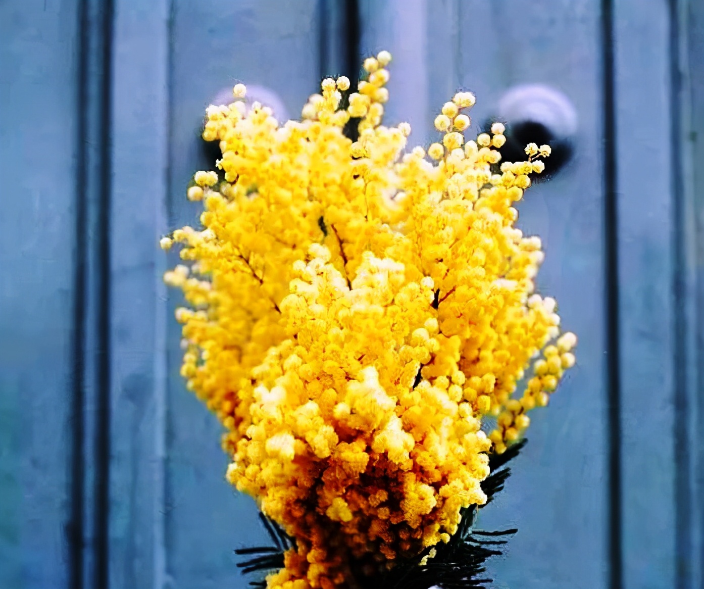 适合发心情说说的长句子句句入心,正能量说说字字温暖句句阳光