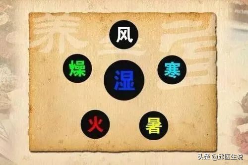 气虚抵抗力差怎么办,体质差怕冷怎么提高免疫力