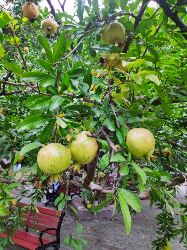 江苏师范大学云龙湖校区,江苏师范大学云龙校区街拍