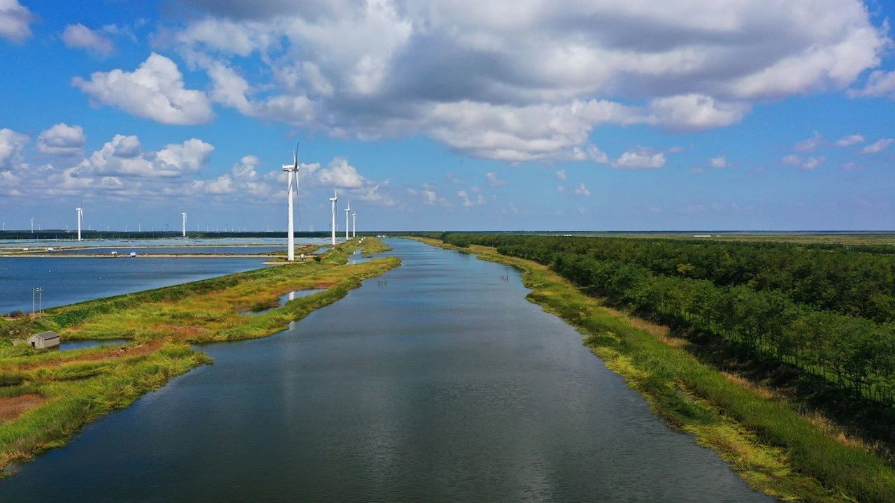 蓝旗鱼软尾路亚饵,蓝旗鱼路亚视频