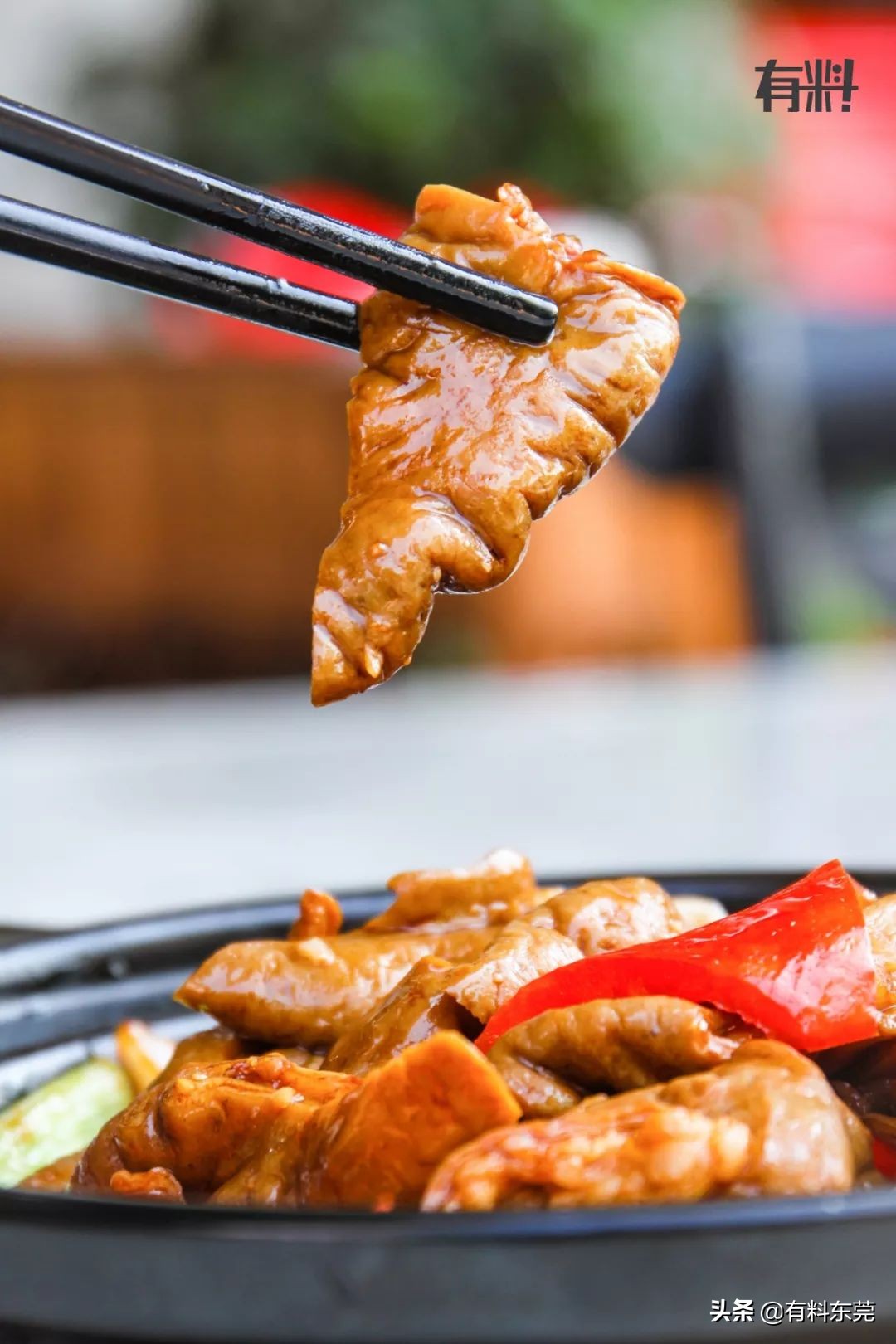 石锅鱼翅花胶捞饭团购,上海花胶鱼翅捞饭