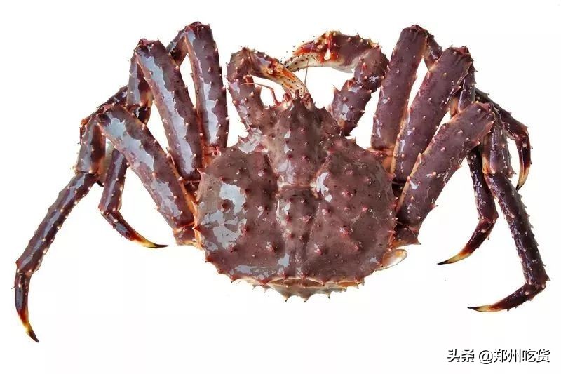 188元/条!吃养颜旺财老虎斑,就来肥隆“食斑节”