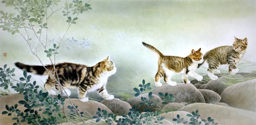 邢诚爱工笔猫画法,邢诚爱工笔画猫兔子高清大图