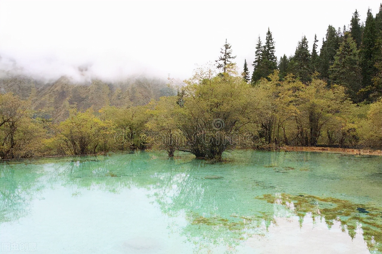 川西看彩林,川西自驾游看彩林攻略