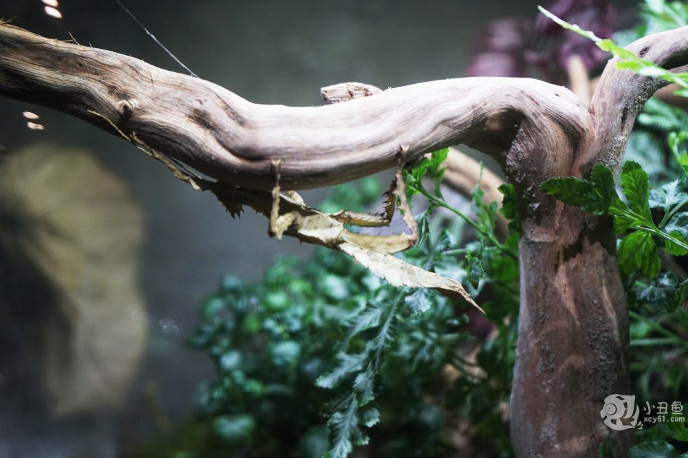 儿童玩的遛娃好去处,有动物的溜娃好去处