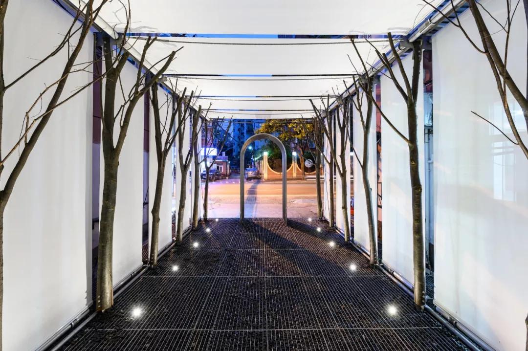 2017福布斯30岁以下精英名单,2019福布斯中国三十岁以下精英榜