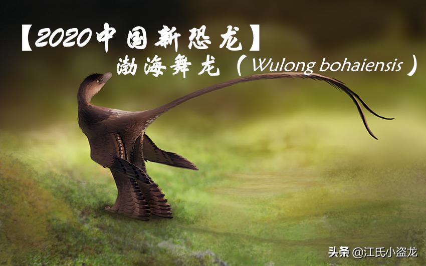 敦化渤海湖舞龙,中国内的恐龙