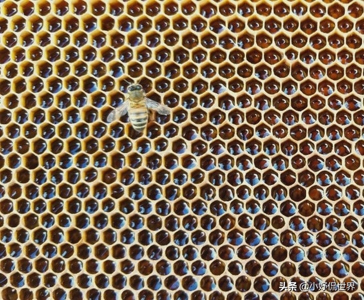 可给强迫症带来极大满足感的20张图片