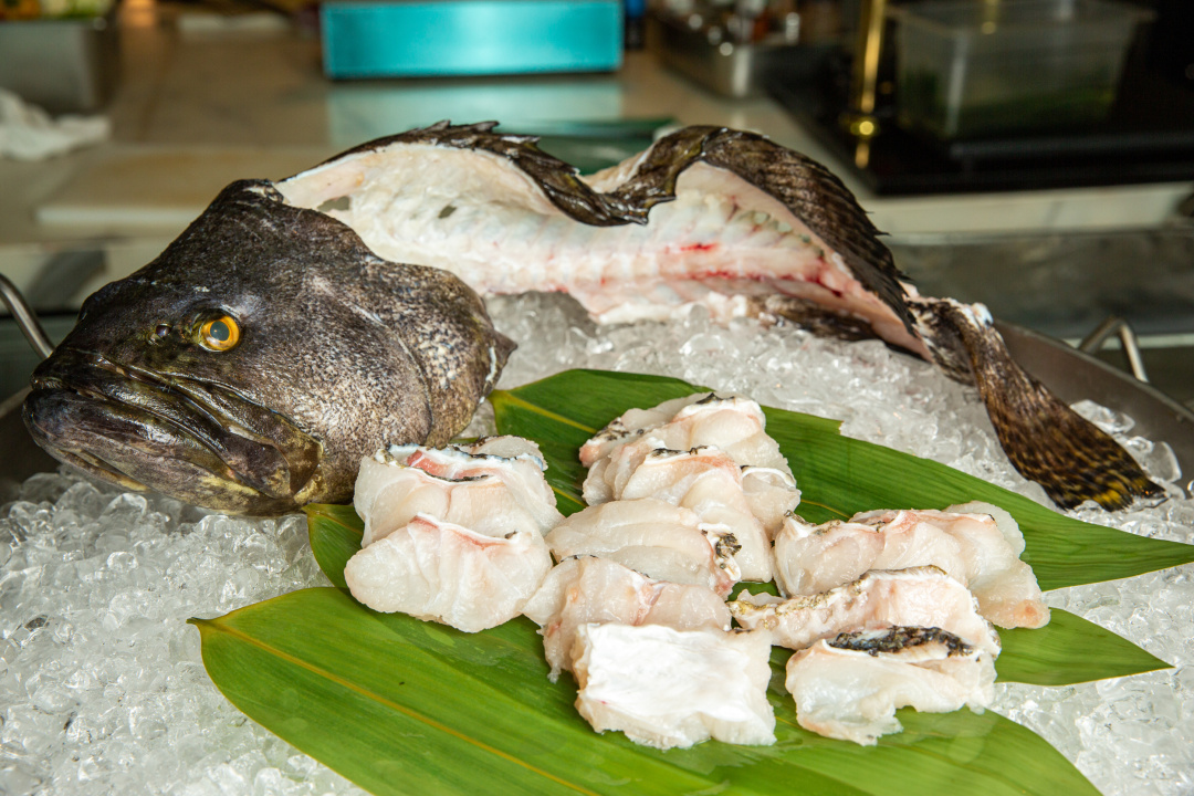 打卡佛山帆船度假酒店,佛山最顶级酒店打卡