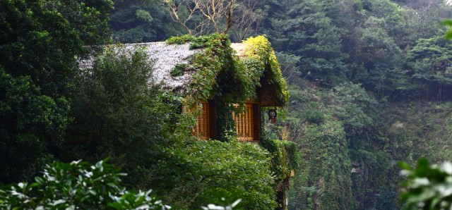 温州暑假去哪玩推荐好地方,温州暑假亲子游