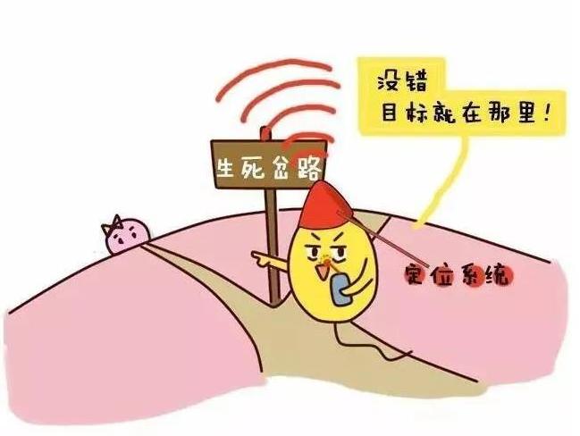 精子跟卵子的相遇过程,精子与卵子的相遇过程