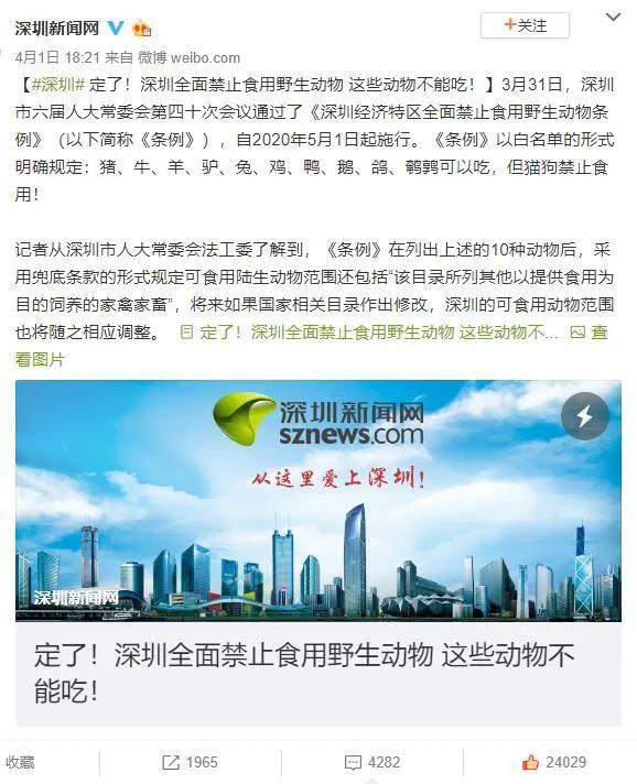 中国禁止食猫狗的城市,对深圳立法禁食猫狗的官方评论