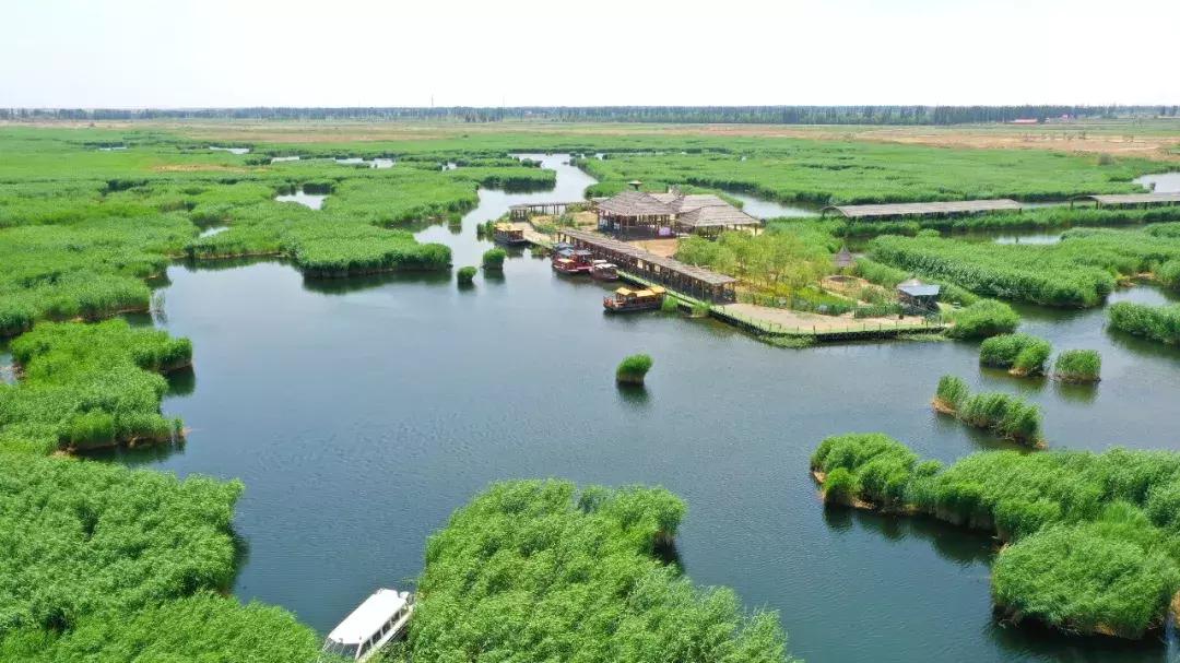 美不美看山水的视频,美不美看河水