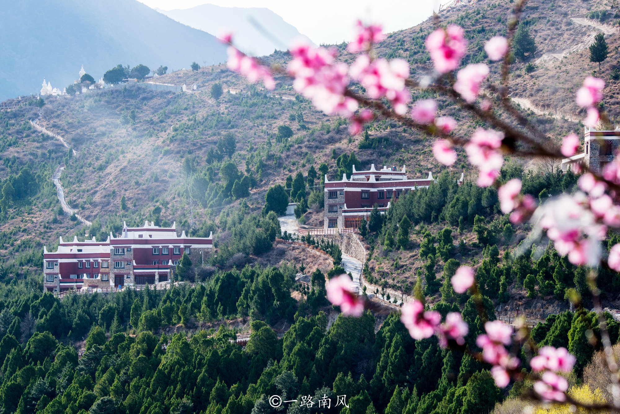 四川甲居藏寨门票,四川甲居藏寨海拔