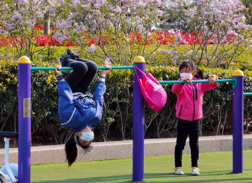 面朝大海春暖花开的背景音乐,面朝大海春暖花开歌曲
