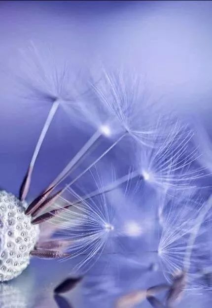 与儿子在家聊天,与儿偶遇诗句