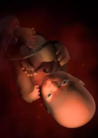 孕期知识六：妊娠第9-10个月
