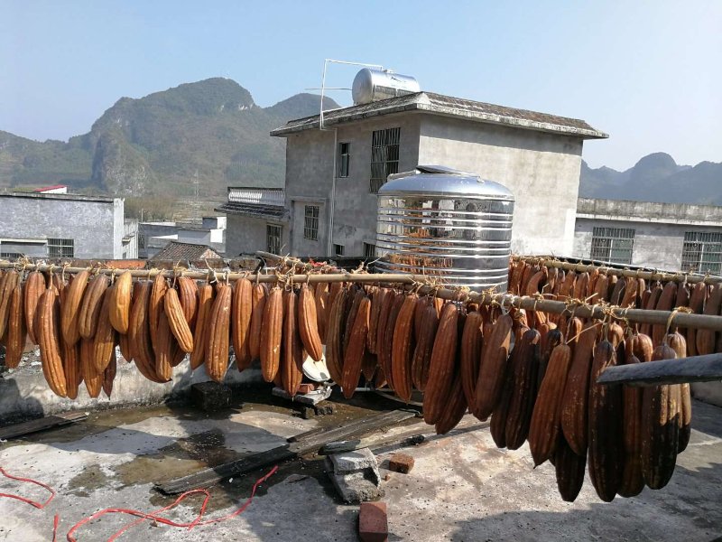 农村人都不要的丝瓜络她卖了6年，回家盖小楼，还花70万市区买房