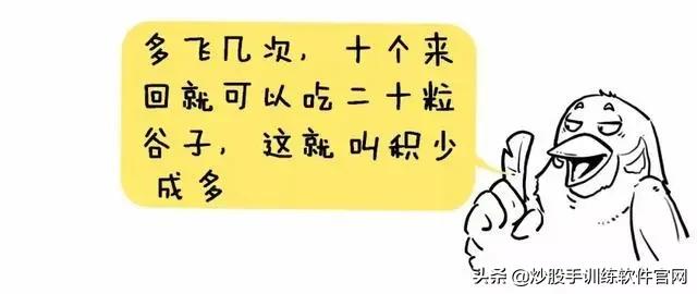 像乌龟一样趴着炒股,像麻雀一样的股票