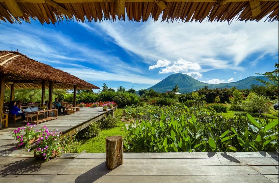 美娜多出海的图片,美娜多成为潜水天堂的原因