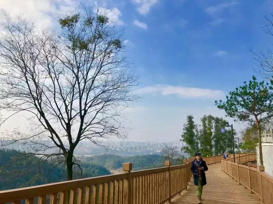 离赣州最近的森林公园还有多远,赣州最好玩的公园不要门票