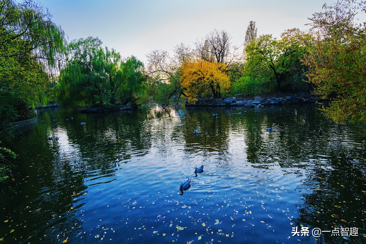 松下16-35f4,松下16-35f4和20-60镜头对比