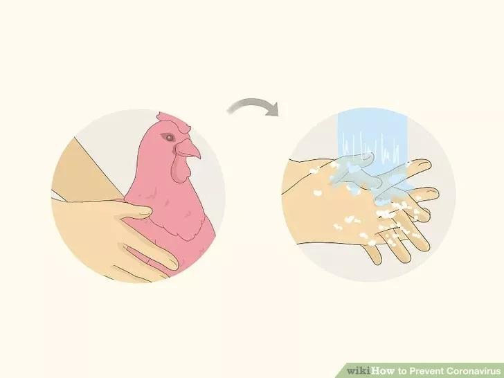 防控新型冠状病毒请您这样做,新型冠状病毒防控方案最新版