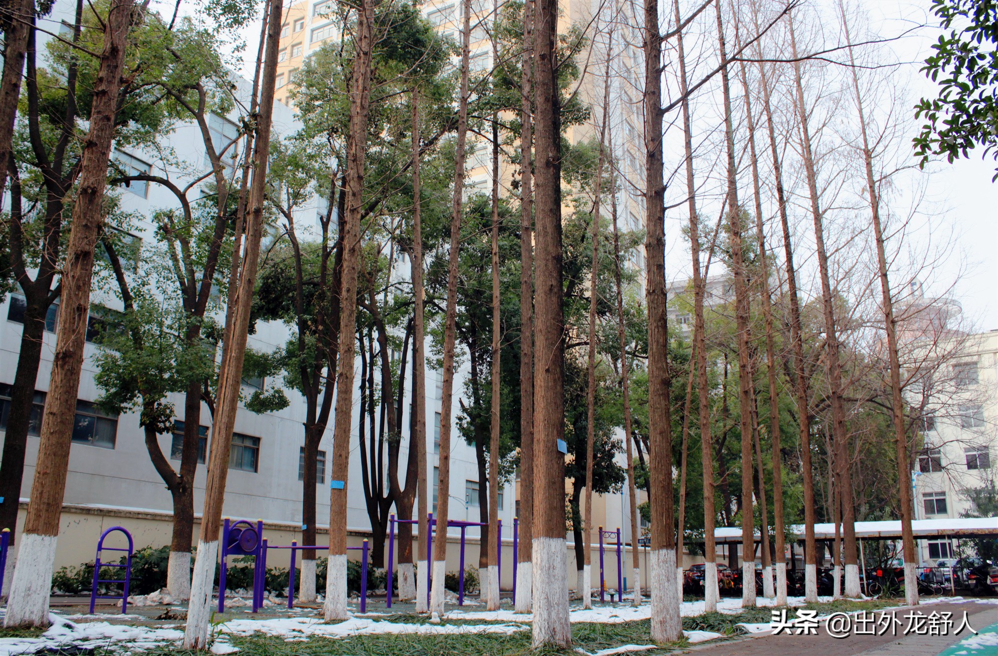 合肥三中百年校庆,合肥三中百年校庆视频