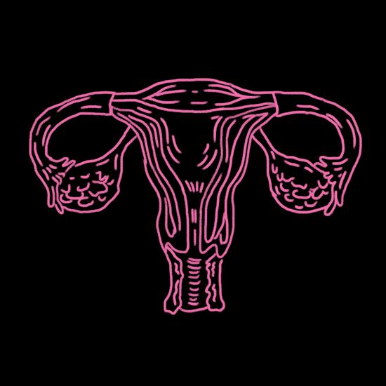 这里的毛毛千万别乱拔！小心会有生命危险