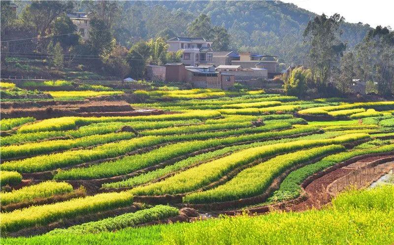 瞧!这花花世界谁不爱