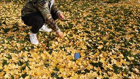 努比亚z30pro自拍咋样,努比亚z50spro自拍对比