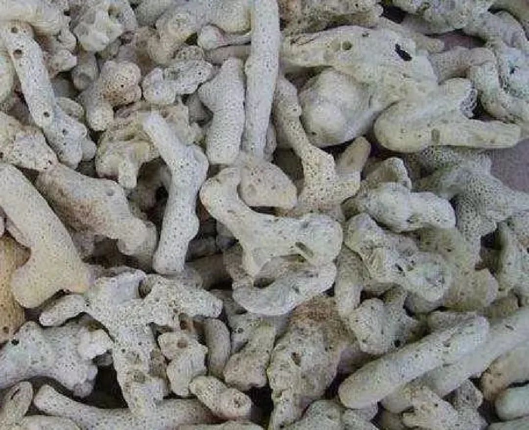 鱼池过滤桶和滴流过滤哪种好,鱼池过滤和泳池过滤的区别