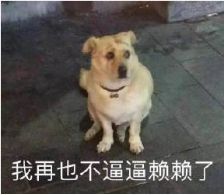 金佑人生和金诺优享哪个更适合,金佑人生交够十年有什么好处