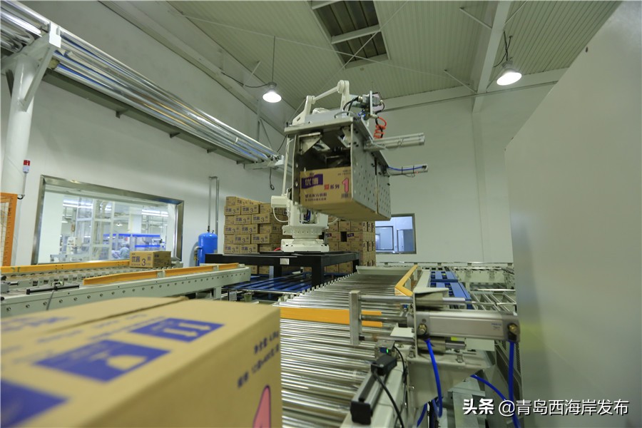 特医产品订单环比增长77%！青岛圣元乳业：细分市场销售实现逆增长