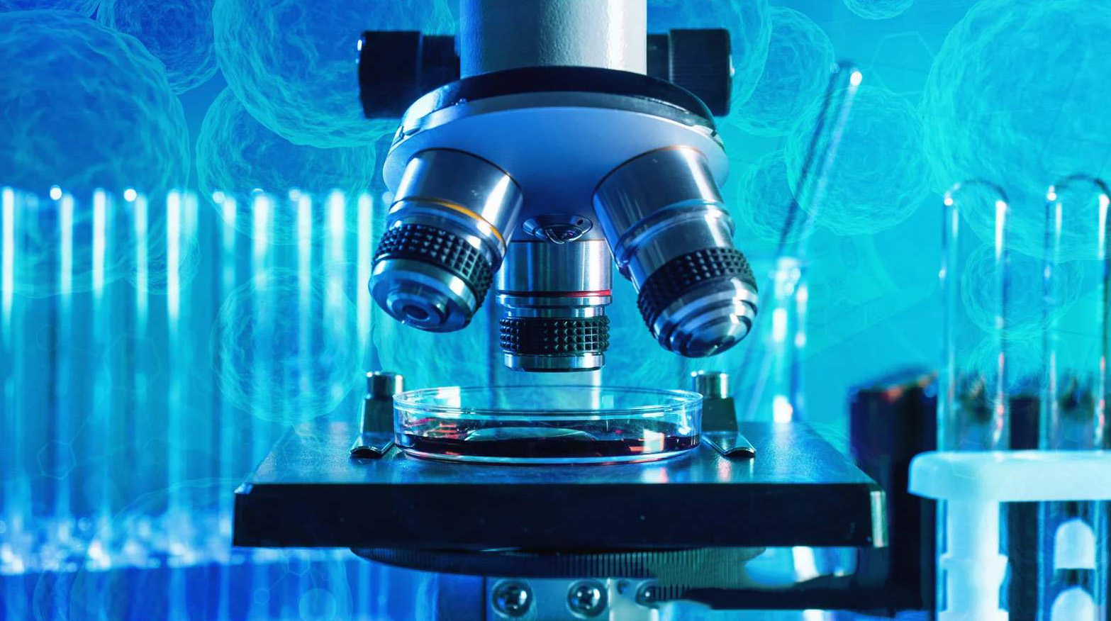 好消息，日本研发干细胞喷雾，心力衰竭治疗迎来新希望