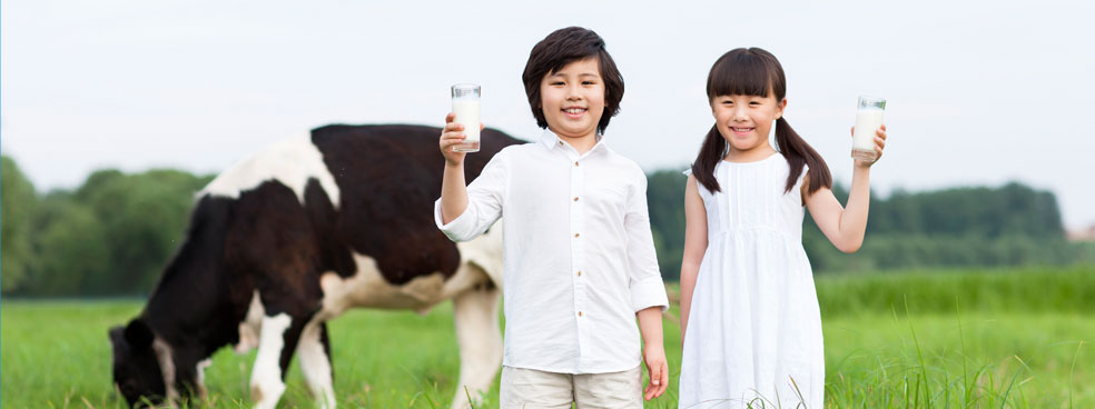 民营企业看北方,中国民企看河南