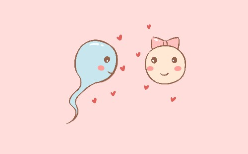 漫漫求子路怀孕备孕,备孕路漫漫