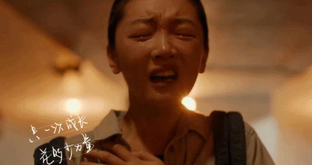 中泰文化差异对比娱乐视频,中日韩泰审美区别