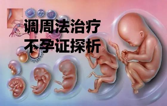 调周法治疗不孕证探析