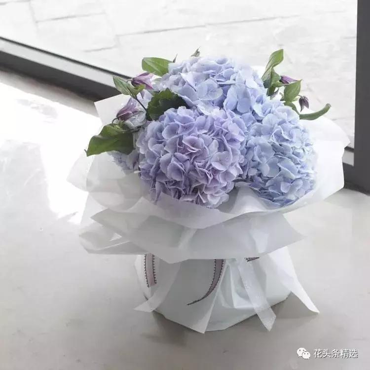 母亲节送什么花比较实用,母亲节送什么花合适呢