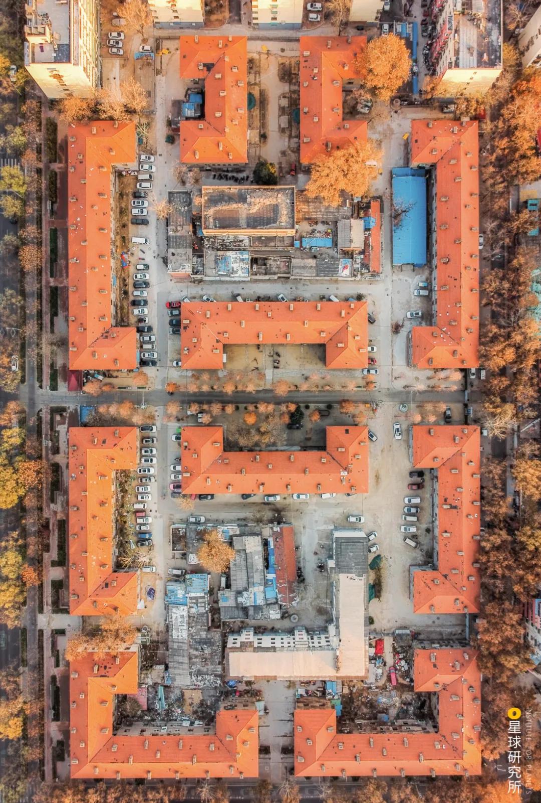 什么是郑州绿城,什么是郑州特产