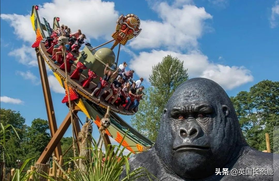 全球十大最受欢迎的野生动物园,伦敦十大动物园