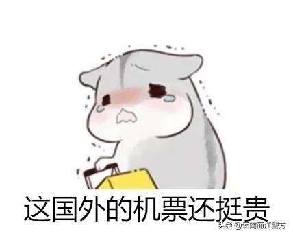 送朋友机票被骗5万,女子飞机票被骗12万