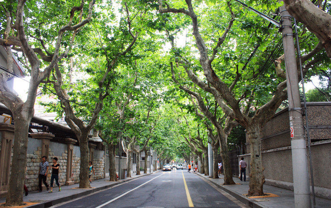 上海旅游十大必去景点,上海玩十大必去的景点